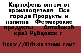 Картофель оптом от производителя - Все города Продукты и напитки » Фермерские продукты   . Алтайский край,Рубцовск г.